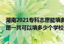 湖南2021專(zhuān)科志愿能填多少學(xué)校（2022年湖南高考專(zhuān)科志愿一共可以填多少個(gè)學(xué)校）