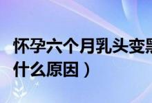 懷孕六個月乳頭變黑是什么原因（乳頭變黑是什么原因）