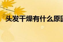 頭發(fā)干燥有什么原因（頭發(fā)干燥怎么回事）