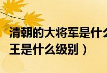 清朝的大將軍是什么級(jí)別的官員（清朝大將軍王是什么級(jí)別）
