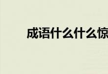 成語什么什么驚（什么驚中外成語）