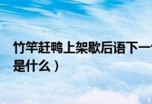 竹竿趕鴨上架歇后語下一句是什么（趕鴨上架歇后語下一句是什么）