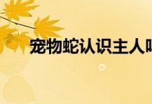 寵物蛇認識主人嗎（寵物蛇認主人嗎）