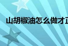 山胡椒油怎么做才正宗（山胡椒油怎么做）