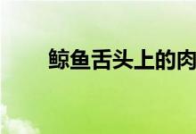 鯨魚舌頭上的肉（鯨魚肉可以吃嗎）