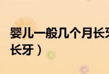 嬰兒一般幾個(gè)月長(zhǎng)牙齒正常（嬰兒一般幾個(gè)月長(zhǎng)牙）
