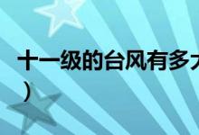 十一級的臺風(fēng)有多大（十一級臺風(fēng)是什么概念）