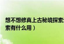 想不想修真上古秘境探索劃不劃算（想不想修真上古宗門探索有什么用）