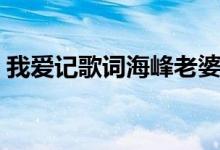 我愛(ài)記歌詞海峰老婆（我愛(ài)記歌詞海峰介紹）