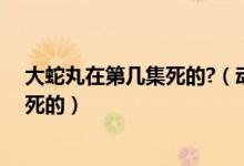 大蛇丸在第幾集死的?（動(dòng)漫火影忍者中大蛇丸是在第幾集死的）