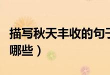 描寫(xiě)秋天豐收的句子（關(guān)于秋天豐收的句子有哪些）