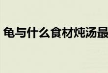龜與什么食材燉湯最好（龜燉湯有什么作用）