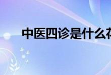 中醫(yī)四診是什么花(中醫(yī)四診是什么)