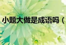 小題大做是成語(yǔ)嗎（詞語(yǔ)小題大做什么意思）