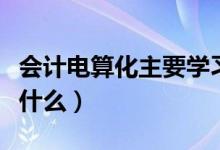 會(huì)計(jì)電算化主要學(xué)習(xí)課程（會(huì)計(jì)電算化主要學(xué)什么）