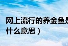 網(wǎng)上流行的養(yǎng)金魚(yú)是什么意思(網(wǎng)絡(luò)養(yǎng)金魚(yú)是什么意思)