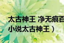 太古神王 凈無痕百度百科（如何評價凈無痕小說太古神王）