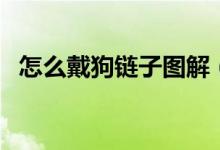 怎么戴狗鏈子圖解（狗鏈子怎么帶解釋圖）