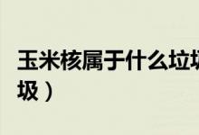 玉米核屬于什么垃圾分類（玉米核屬于什么垃圾）
