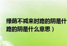 綠蔭不減來(lái)時(shí)路的陰是什么意思? 百度網(wǎng)盤(pán)（綠蔭不減來(lái)時(shí)路的陰是什么意思）