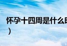 懷孕十四周是什么時(shí)期（懷孕十四周是幾個(gè)月）
