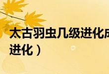 太古羽蟲(chóng)幾級(jí)進(jìn)化成太古盔甲(太古羽蟲(chóng)幾級(jí)進(jìn)化)