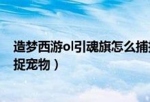 造夢西游ol引魂旗怎么捕捉寵物（造夢西游ol引魂旗怎么捕捉寵物）