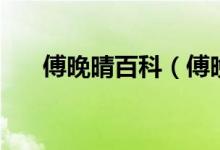 傅晚晴百科（傅晚晴喜歡的到底是誰）