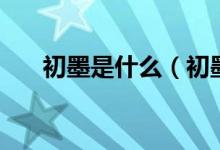 初墨是什么（初墨半墨全墨什么意思）