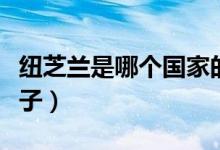 紐芝蘭是哪個(gè)國(guó)家的牌子（紐芝蘭是哪國(guó)的牌子）