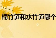 楠竹筍和水竹筍哪個(gè)好（水竹筍又叫什么筍）