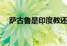 薩古魯是印度教還是佛教（薩古魯是誰）