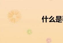 什么是穩(wěn)健性檢驗