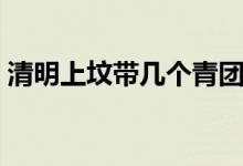 清明上墳帶幾個(gè)青團(tuán)（清明上墳帶幾樣貢品）