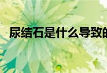 尿結(jié)石是什么導(dǎo)致的（尿結(jié)石是什么情況）