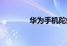 華為手機(jī)陀螺儀在設(shè)置哪里
