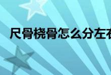 尺骨橈骨怎么分左右（尺骨橈骨怎么區(qū)分）