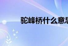 駝峰橋什么意思（什么是駝峰橋）