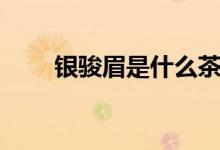銀駿眉是什么茶（銀駿眉是什么茶）