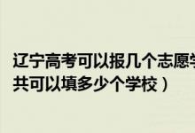 遼寧高考可以報幾個志愿學校（2022年遼寧高考本科志愿一共可以填多少個學校）