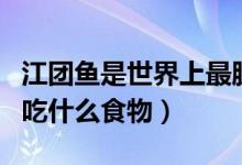 江團魚是世界上最臟的魚（江團魚是什么魚內吃什么食物）