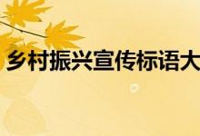 鄉(xiāng)村振興宣傳標(biāo)語(yǔ)大全（鄉(xiāng)村振興宣傳標(biāo)語(yǔ)）