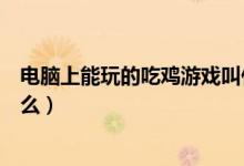 電腦上能玩的吃雞游戲叫什么（電腦上能玩的吃雞游戲叫什么）