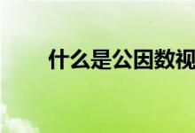 什么是公因數(shù)視頻（什么是公因數(shù)）