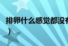排卵什么感覺(jué)都沒(méi)有怎么回事（排卵什么感覺(jué)）