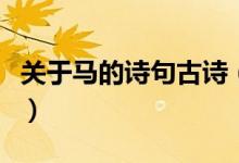 關(guān)于馬的詩(shī)句古詩(shī)（關(guān)于馬的詩(shī)句古詩(shī)有哪些）
