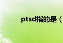 ptsd指的是(ptsd指的是什么)