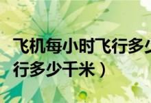 飛機每小時飛行多少千米正常（飛機每小時飛行多少千米）