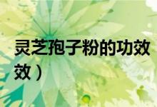 靈芝孢子粉的功效（靈芝孢子粉有什么作用功效）