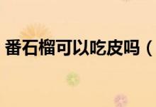 番石榴可以吃皮嗎（番石榴的皮能直接吃嗎）